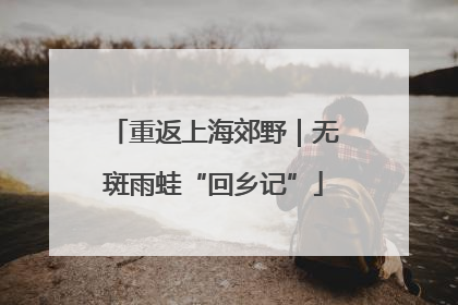重返上海郊野｜无斑雨蛙“回乡记”