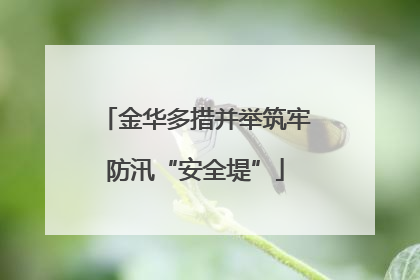 金华多措并举筑牢防汛“安全堤”