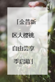 金普新区大樱桃自由尝享季启幕