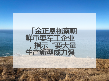 金正恩视察朝鲜重要军工企业，指示“要大量生产新型威力强大的炮弹”