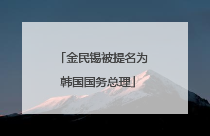 金民锡被提名为韩国国务总理