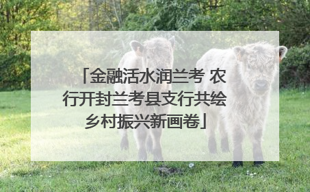 金融活水润兰考 农行开封兰考县支行共绘乡村振兴新画卷