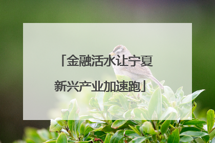 金融活水让宁夏新兴产业加速跑