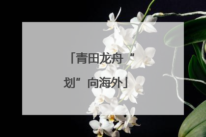 青田龙舟“划”向海外