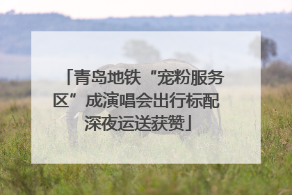 青岛地铁“宠粉服务区”成演唱会出行标配 深夜运送获赞