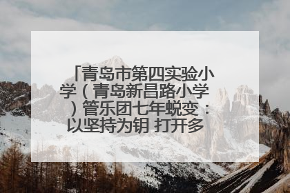 青岛市第四实验小学（青岛新昌路小学）管乐团七年蜕变：以坚持为钥 打开多元成长之门