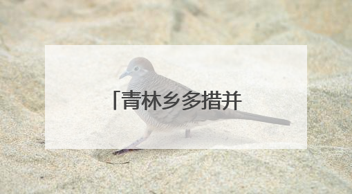 青林乡多措并举推进“两清两改两治理”