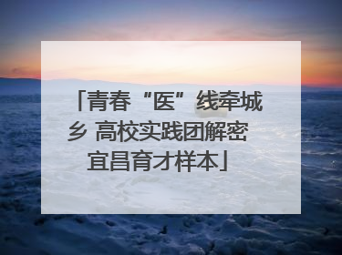 青春“医”线牵城乡 高校实践团解密宜昌育才样本