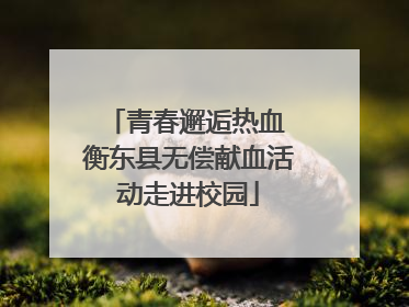 青春邂逅热血 衡东县无偿献血活动走进校园