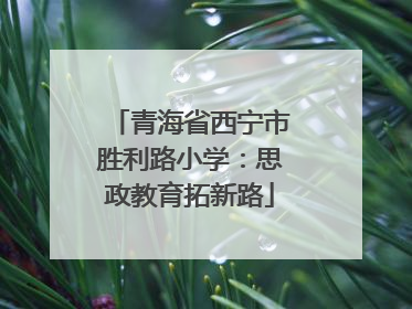 青海省西宁市胜利路小学：思政教育拓新路
