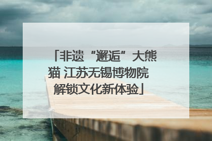 非遗“邂逅”大熊猫 江苏无锡博物院解锁文化新体验