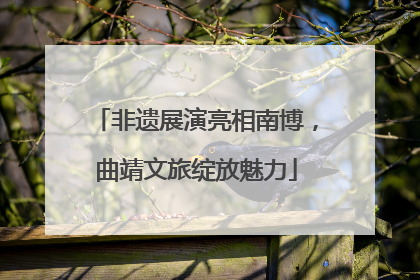 非遗展演亮相南博，曲靖文旅绽放魅力