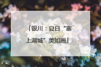 银川：夏日“塞上湖城”美如画