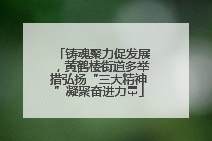 铸魂聚力促发展，黄鹤楼街道多举措弘扬“三大精神”凝聚奋进力量