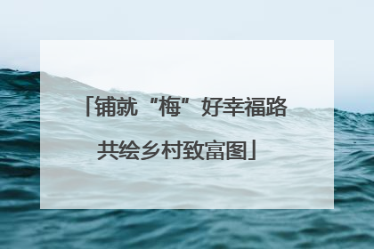 铺就“梅”好幸福路 共绘乡村致富图