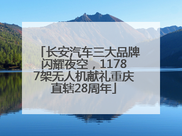 长安汽车三大品牌闪耀夜空，11787架无人机献礼重庆直辖28周年