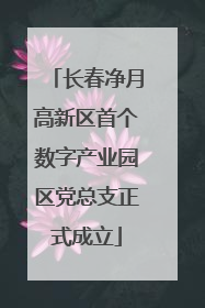 长春净月高新区首个数字产业园区党总支正式成立
