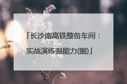 长沙南高铁整备车间：实战演练强能力(图)