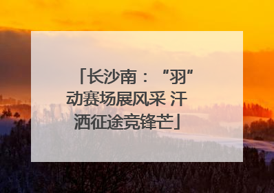 长沙南：“羽”动赛场展风采 汗洒征途竞锋芒