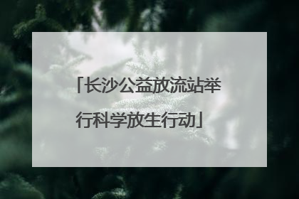长沙公益放流站举行科学放生行动