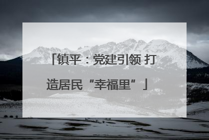 镇平：党建引领 打造居民“幸福里”