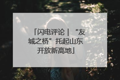 闪电评论｜“友城之桥”托起山东开放新高地