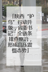 陕西“护鸟”行动升级，省委书记：全链条排查整治，形成高压震慑态势