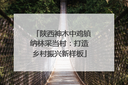 陕西神木中鸡镇纳林采当村：打造乡村振兴新样板