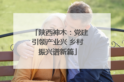 陕西神木：党建引领产业兴 乡村振兴谱新篇