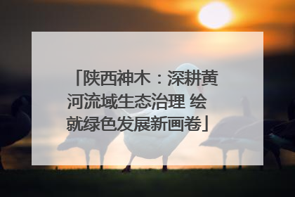 陕西神木：深耕黄河流域生态治理 绘就绿色发展新画卷