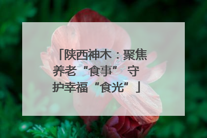 陕西神木：聚焦养老“食事” 守护幸福“食光”