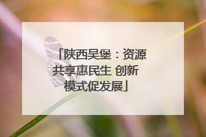 陕西吴堡：资源共享惠民生 创新模式促发展