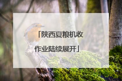 陕西夏粮机收作业陆续展开