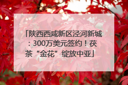 陕西西咸新区泾河新城：300万美元签约！茯茶“金花”绽放中亚