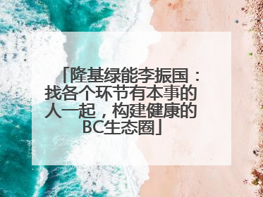 隆基绿能李振国：找各个环节有本事的人一起，构建健康的BC生态圈