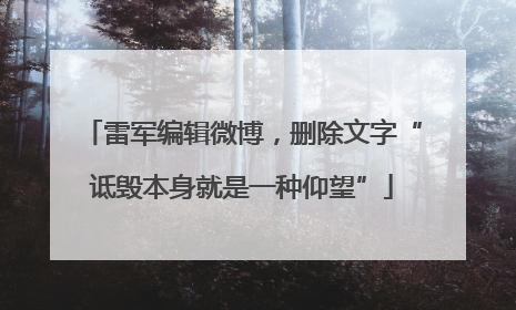 雷军编辑微博，删除文字“诋毁本身就是一种仰望”