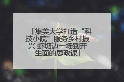 集美大学打造“科技小院”服务乡村振兴 虾塘边一场别开生面的思政课