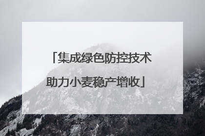集成绿色防控技术助力小麦稳产增收