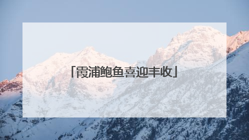霞浦鲍鱼喜迎丰收