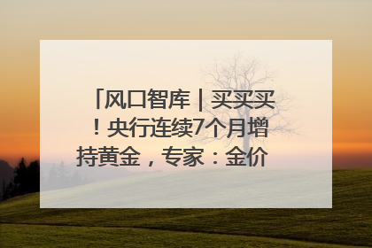 风口智库｜买买买！央行连续7个月增持黄金，专家：金价或仍易涨难跌