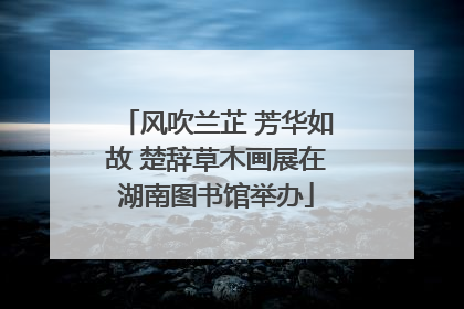 风吹兰芷 芳华如故 楚辞草木画展在湖南图书馆举办