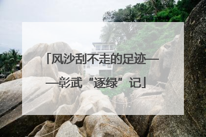 风沙刮不走的足迹——彰武“逐绿”记