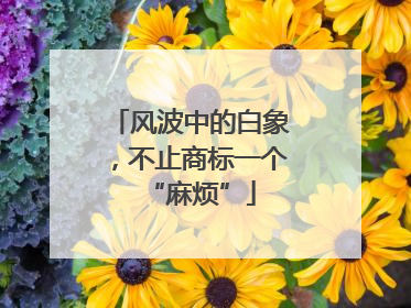 风波中的白象，不止商标一个“麻烦”