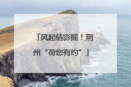 风起倩影摇！荆州“荷您有约”