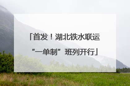 首发！湖北铁水联运“一单制”班列开行