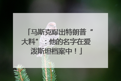 马斯克曝出特朗普“大料”：他的名字在爱泼斯坦档案中！