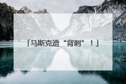 马斯克遭“背刺”！