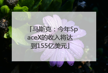 马斯克：今年SpaceX的收入将达到155亿美元