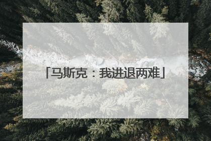马斯克：我进退两难