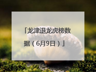 龙津退龙虎榜数据（6月9日）